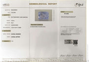 10.99/CT Natural Blue Sapphire with Govt Lab Certificate-16625S208564